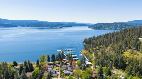 Aerial view of a lakeside property nestled among pine forests, with a private marina and mountain views across pristine blue waters.