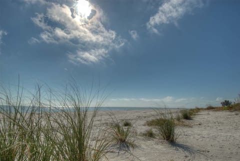Beach nearby, white sand, sun loungers, beach umbrellas