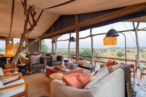 Luxury Tent | Property grounds