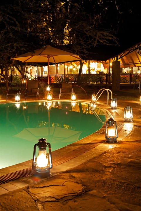 Outdoor pool, sun loungers