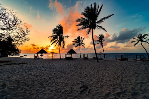 Private beach, sun loungers, beach umbrellas, beach towels