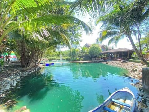Lake view
