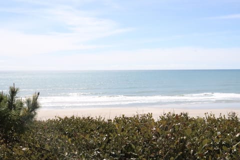 Pristine coastline with golden sand beach and rolling waves, framed by lush vegetation under bright daytime skies.