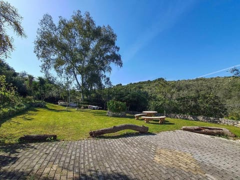 Large shared lawn area surrounded by nature.