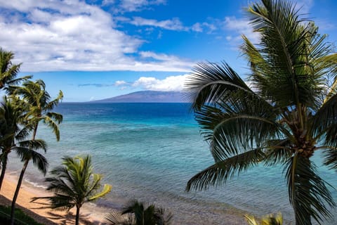 Where turquoise waters kiss golden sand and every breeze whispers, 'You’re exactly where you’re meant to be    MAH-611