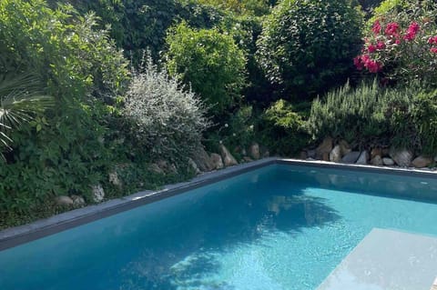 Piscine privée entourée de végétation luxuriante dans le jardin de la maison