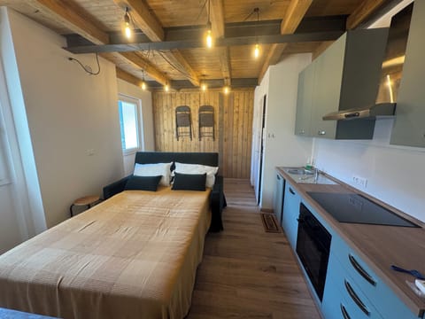 Deluxe Apartment, 1 Bedroom, River View | Private kitchen