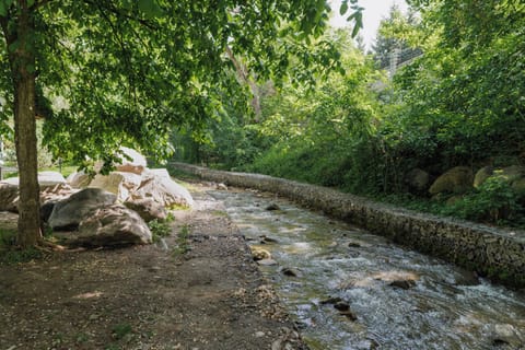 Land view from property