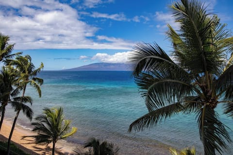 Where turquoise waters kiss golden sand and every breeze whispers, 'You’re exactly where you’re meant to be    MAH-611