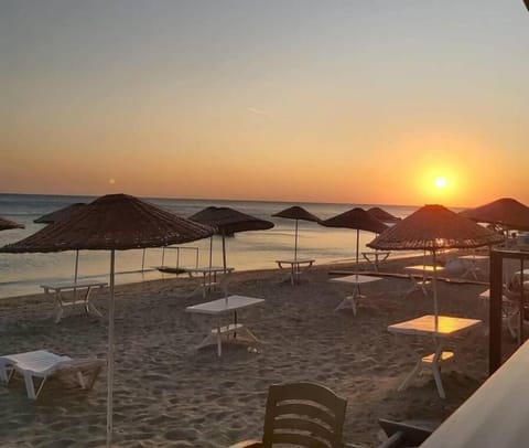 Beach nearby, free beach shuttle