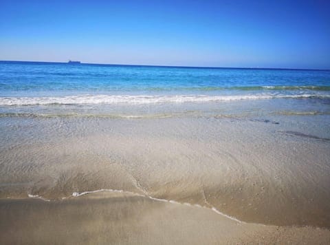 Studio Suite | Beach | Beach nearby, white sand, beach shuttle, beach bar