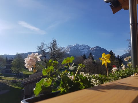 Land view from property