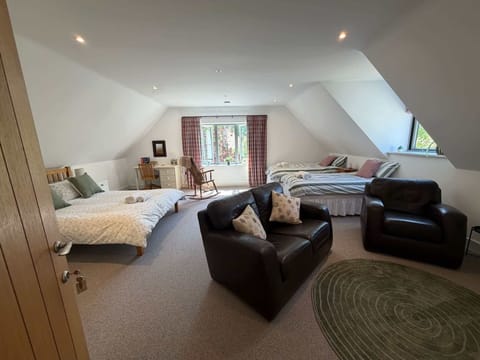 Bedroom/Living Area