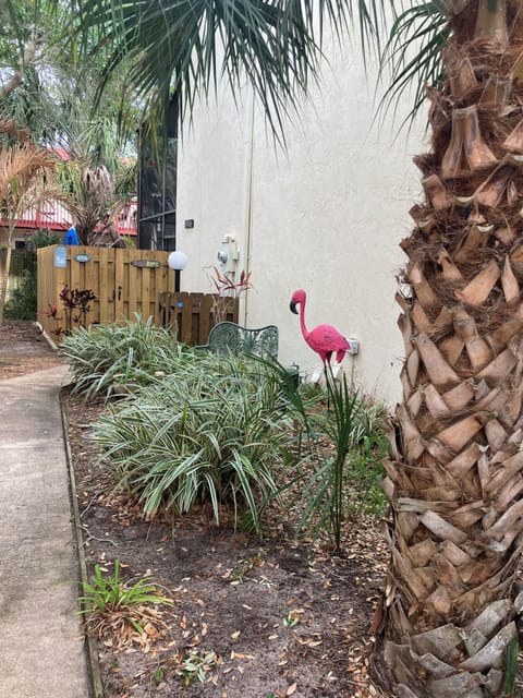 Welcome to Tiki Kove