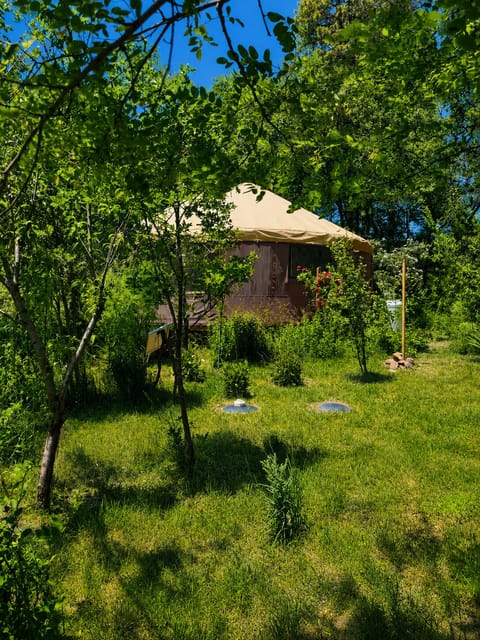 Enjoy the outdoors at Stargrove!