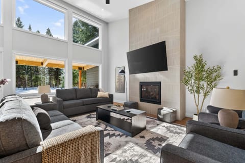 Living room- main level