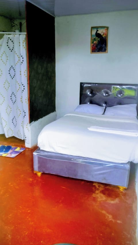 Basic Single Room | Free WiFi