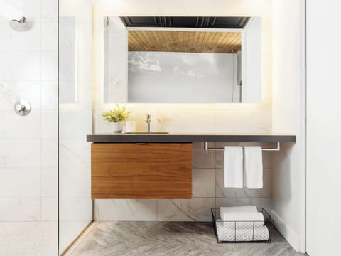 Shower, rainfall showerhead, designer toiletries, hair dryer