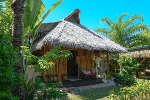 Traditional cottage exterior with tropical garden.