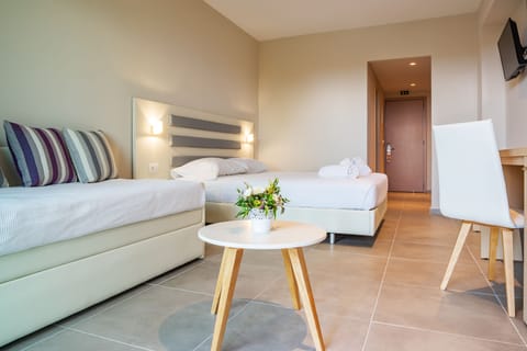 Triple Room | Soundproofing, free WiFi, bed sheets, wheelchair access