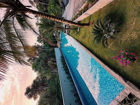 Deluxe Suite, Lake View | Pool | 2 outdoor pools