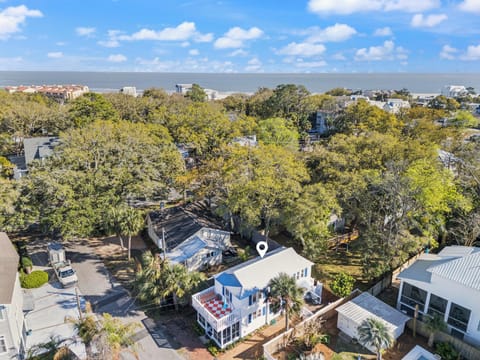 Aerial view of coastal neighborhood with lush tree canopy and ocean glimpses beyond residential area.