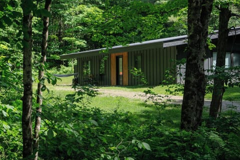 Summer Exterior