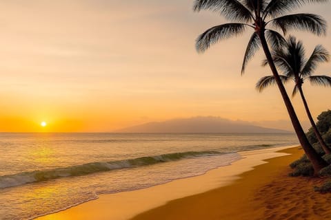 Gorgeous beach and sunset views just steps away from your island oasis HKH-236