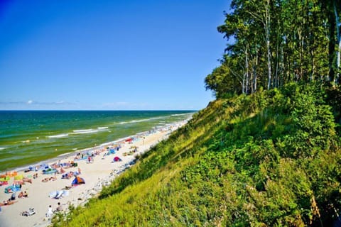 House | View from property