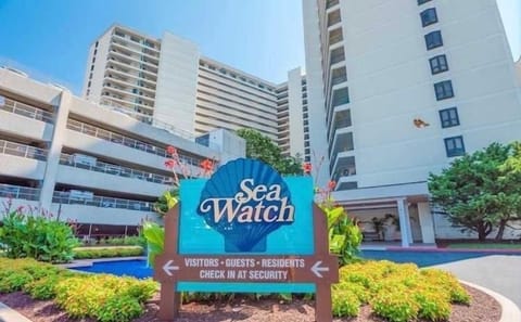 Sea Watch has it all!