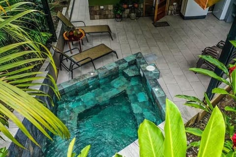 Beautiful private terrace with Jacuzzi/small pool, loungers and gas grill