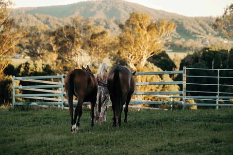 Hours of riding trails right at the gate.