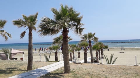 On the beach