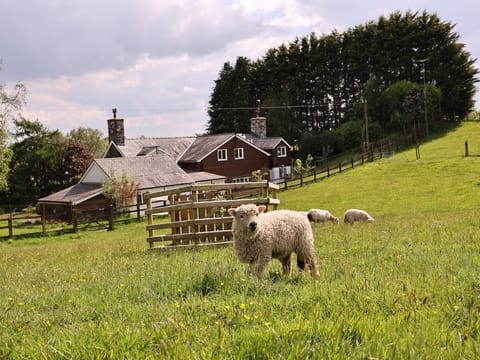 Bryn Y Garreg Cottage - The Wireless Tech Free Farm