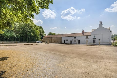 The Old Bells