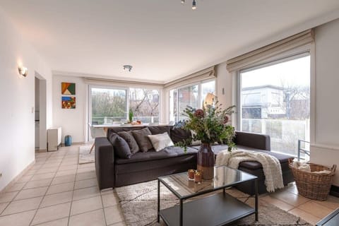 Bright living room with large windows and a modern sectional sofa.