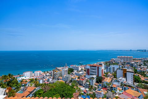 High-angle panoramic outlook over the city rooftops toward the vast blue ocean.
