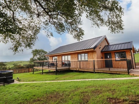 Mynydd Y Glyn Lodge