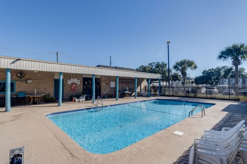 Cool off in the sparkling pool, framed by palm trees under a blue sky.
