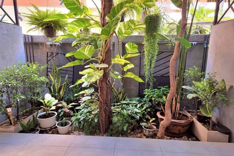 Deluxe Double Room, Garden View | Garden view