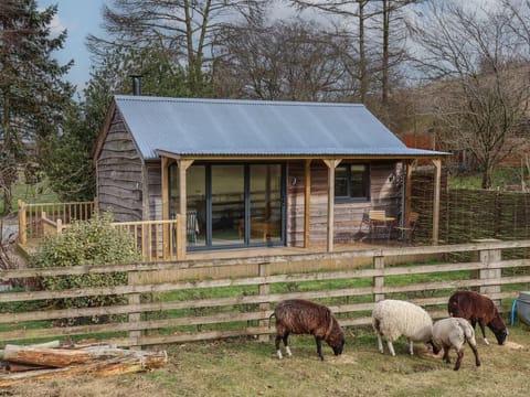 Beech Tree Cabin