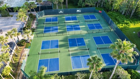 Play fast-paced matches on pristine courts bordered by palms.