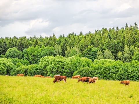 Cloud, Sky, Plant, Ecoregion, Natural Environment, Natural Landscape, Tree, Agriculture, Grass, Landscape