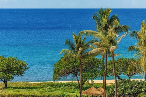 Take in panoramic ocean views framed by palms from your balcony at Honua Kai, perfect for morning coffee or sunset wine. HKH-529