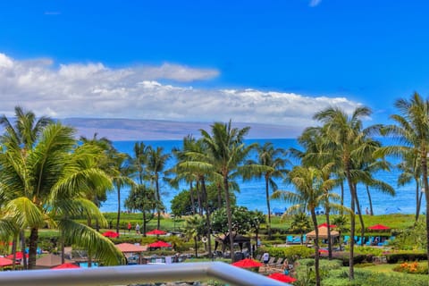 Serene tropical views with swaying palms and blue waters HKK-413