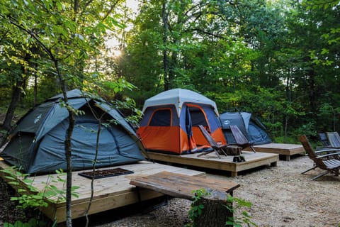 Tent Deck