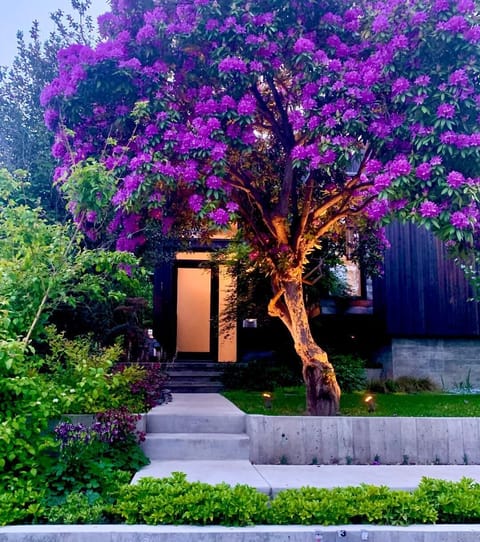 front door
