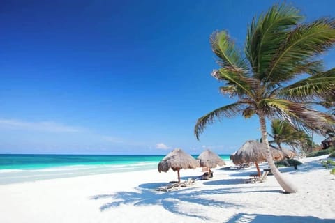 Private beach nearby, white sand, 10 beach bars