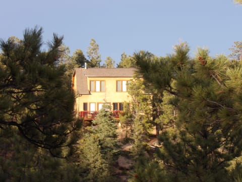 Stoneledge House viewed from entrance road