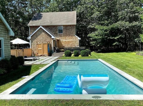 Backyard with saltwater pool